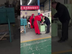 油田のサッカー・ロッドDownholeのロッド・ポンプ ポンプでくんだり/スプレーの金属のプランジャー