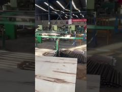 ニッケルカーバイド燃料ポンププランジャーとバレル API 11B 規格