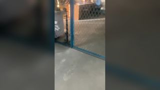 サッカーロッドポンプのスペアパーツプランジャー