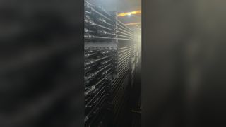 グレード D 吸盤ロッド